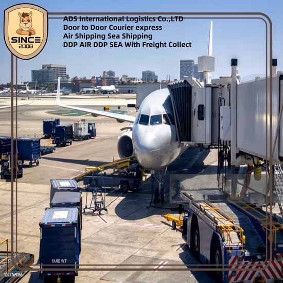 Railway Door to Door Delivery From China to Tashkent