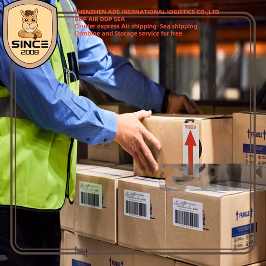 Railway Door to Door Delivery From China to Tashkent