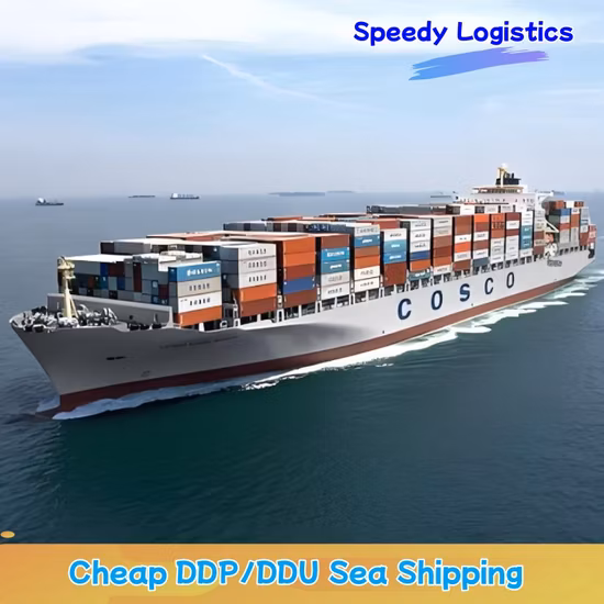 FCL and LCL Sea Freight to Worldwide or Sea Consolidation From China