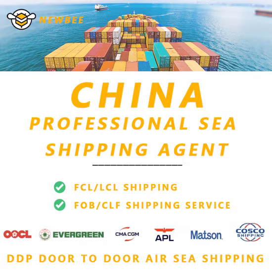 20FT 40FT Full Container Consolidation Shipping Service From Guangzhou Shenzhen Yiwu Ningbo China to Nagaura Niigatahigashi Nishinomiya Niihama Noshiro Japan
