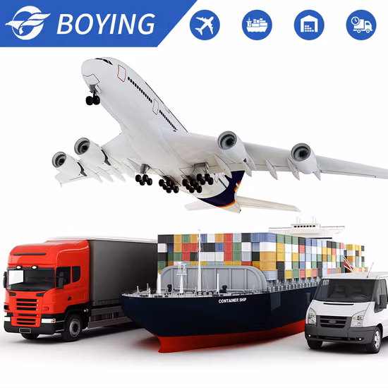 Professional Warehousing, Freight Services, Safe and Reliable Logistics Freight Forwarders