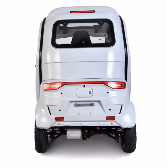 Hot Sale Electric 3 Wheeler Motorcycle Auto Rickshaw