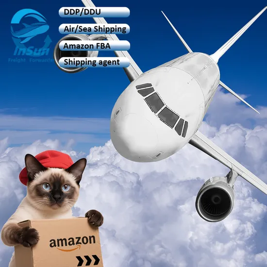 Fast Customs Clearance to Oceania