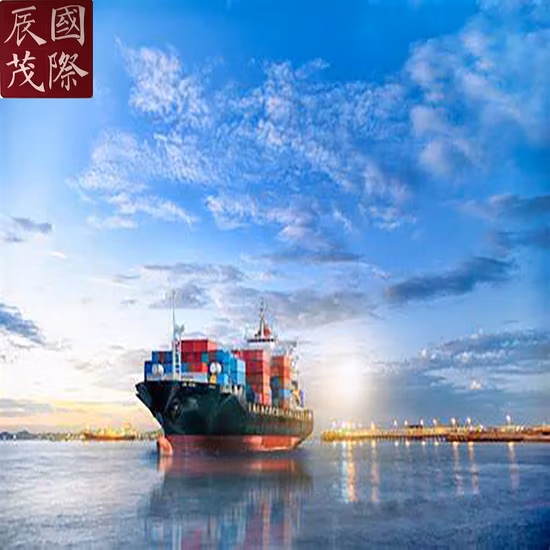 Ocean Freight LCL Consolidation Shipping Service From China to Bridgetown Barbados