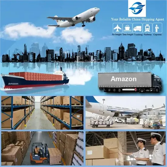 Shenzhen Guangzhou Shanghai Warehouse Storage Service Distribution Service in China and Bonded Warehousing