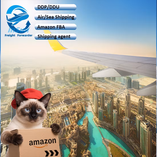 E-Commerce Fba Amazon Services/ Warehousing 1688/Alibaba Delivery Services From China