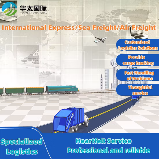 Sea Freight Agent Sea Freight Products Professional Cargo Transportation Team, From Shenzhen, China to The Netherlands, Finland, Poland, Belgium, Sweden, Libya,