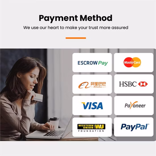 Professional Sea Shipping to Japan or Fast Transportation to Japan Fba Amazon