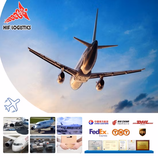 Professional Consolidation Shipping Service Forwarder From China to Finland/Mantyluoto/Oulu/Rauma/Turku/Uleaborg