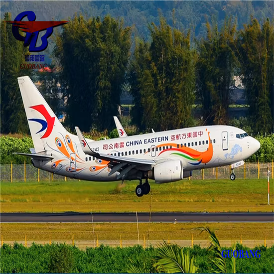 Provide Air and Sea Transportation Services From China to Canada