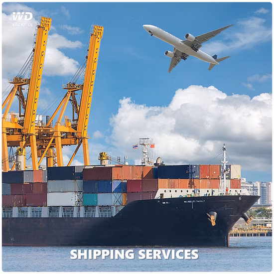 Sea Freight Air Shipping Consolidation to Sucre