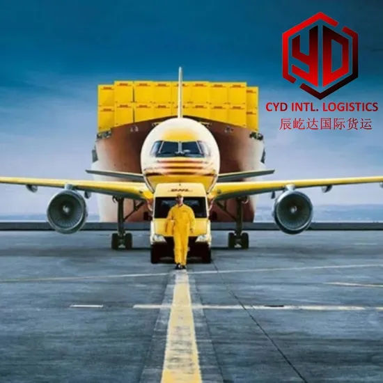 Sea Freight Forwarder From China to USA UK Australia United Kingdom America Poland Spain DDP DDU Shipping Consolidation